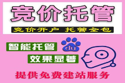 某企业sem竞价代运营全程回顾与效果评估